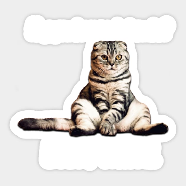 Everything Sucks. Funny Cat Having a Bad Day. Sticker by CeeGunn